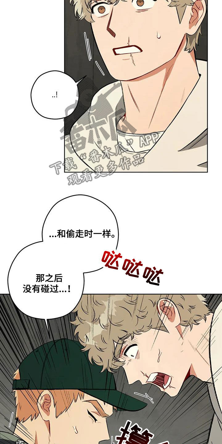 区域间谍漫画,第98章：【第二季】对话2图