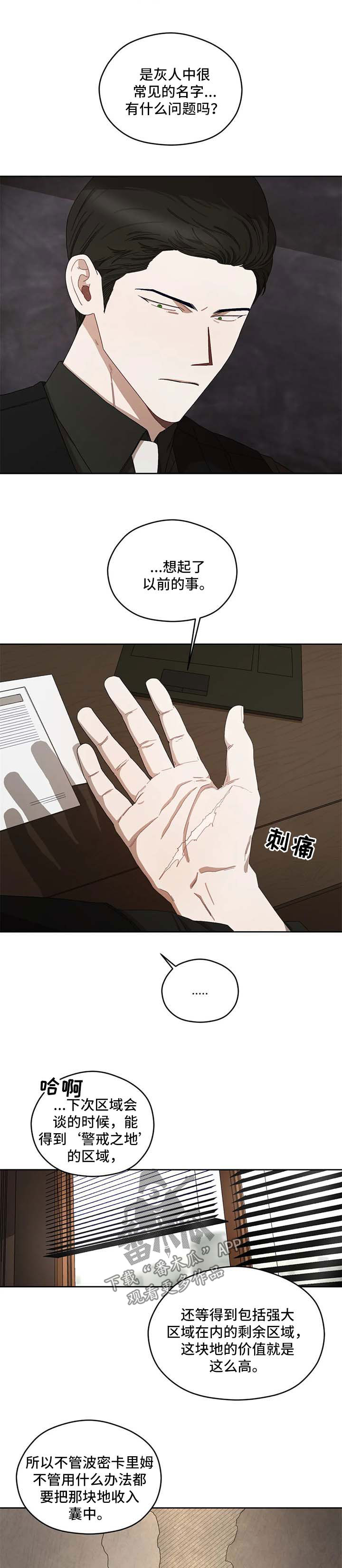 区域间谍漫画,第36章：报告2图