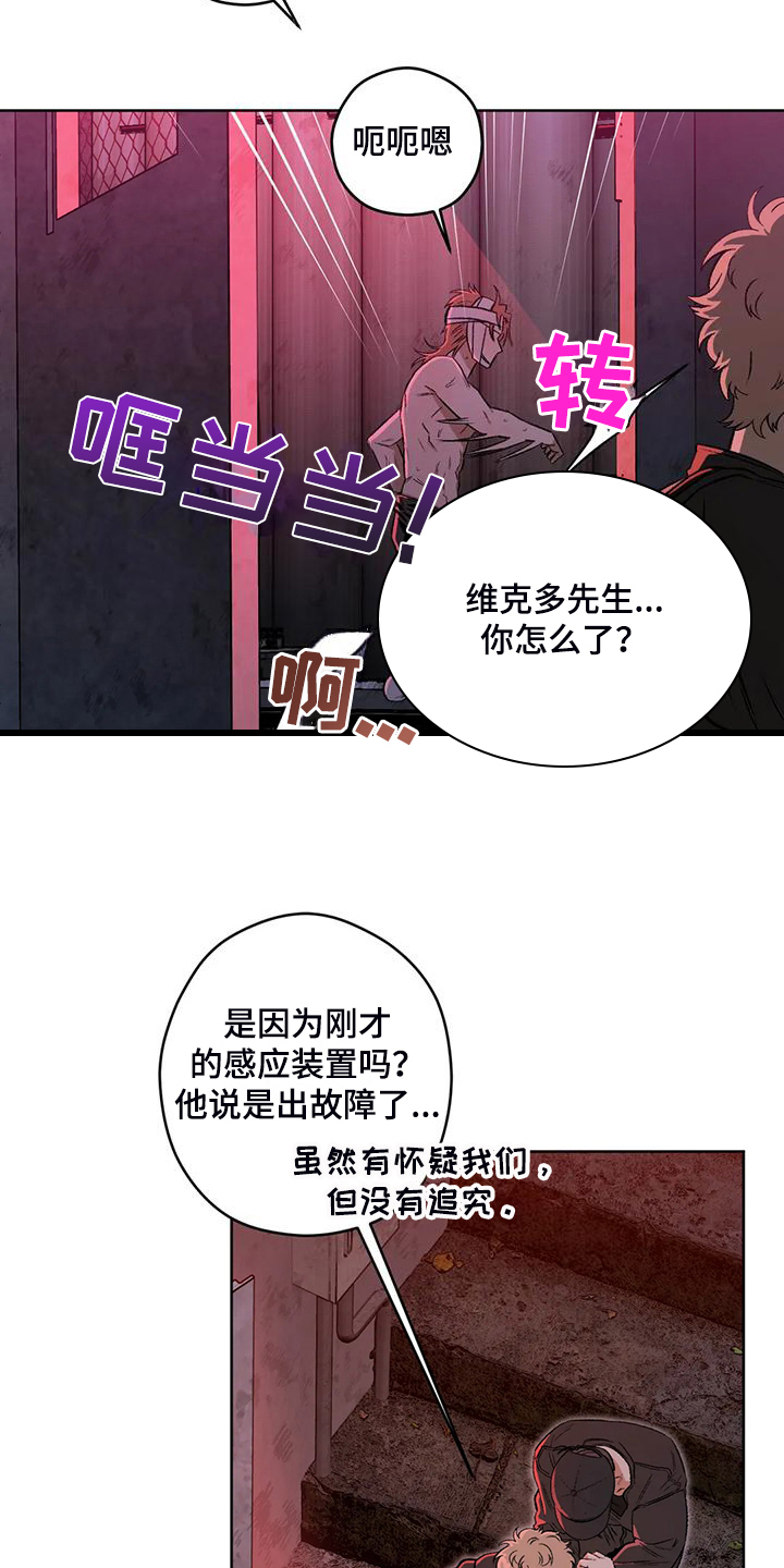 区域间谍漫画,第82章：【第二季】不管你们的身份2图