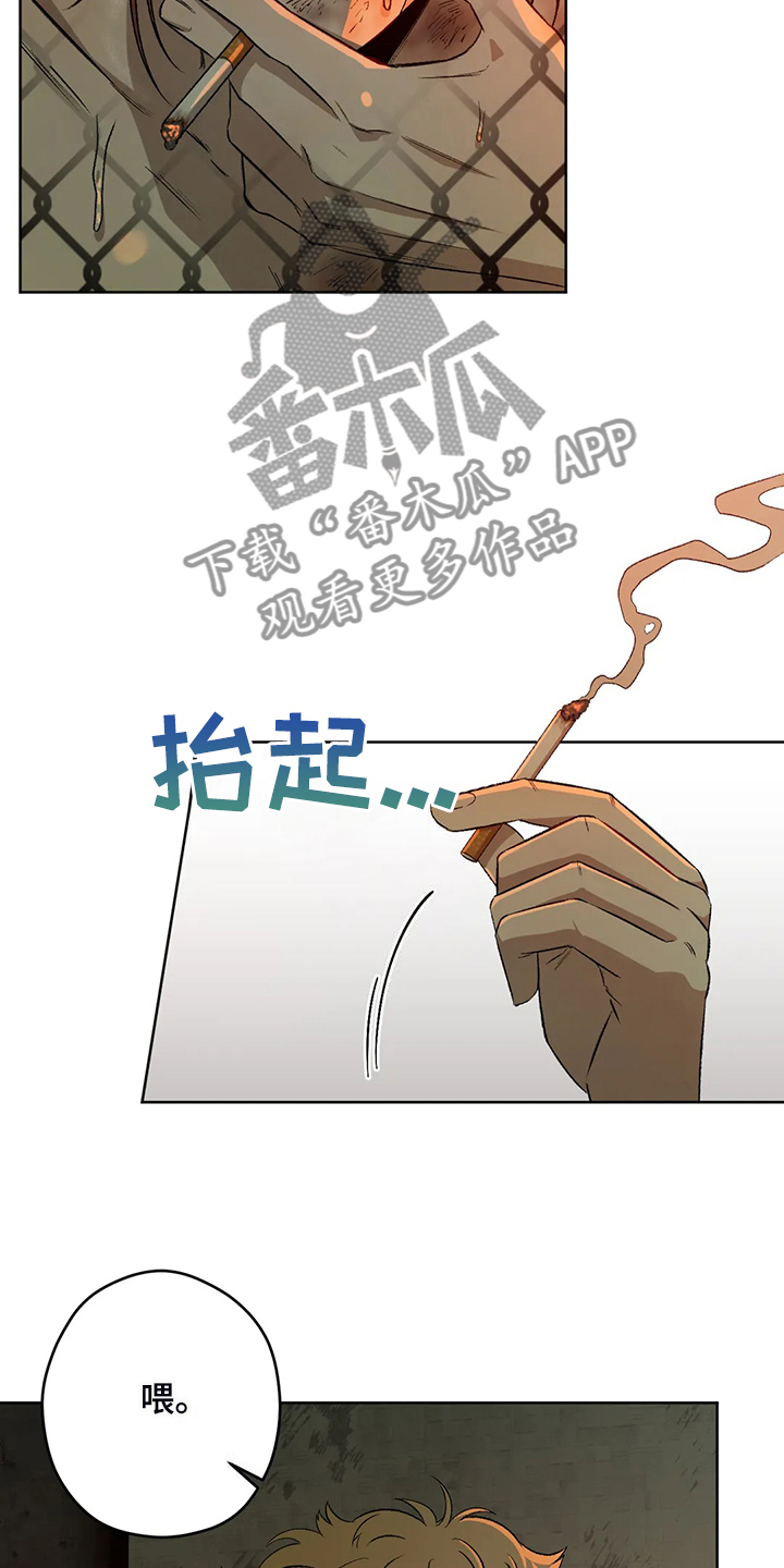 区域间谍漫画,第82章：【第二季】不管你们的身份2图