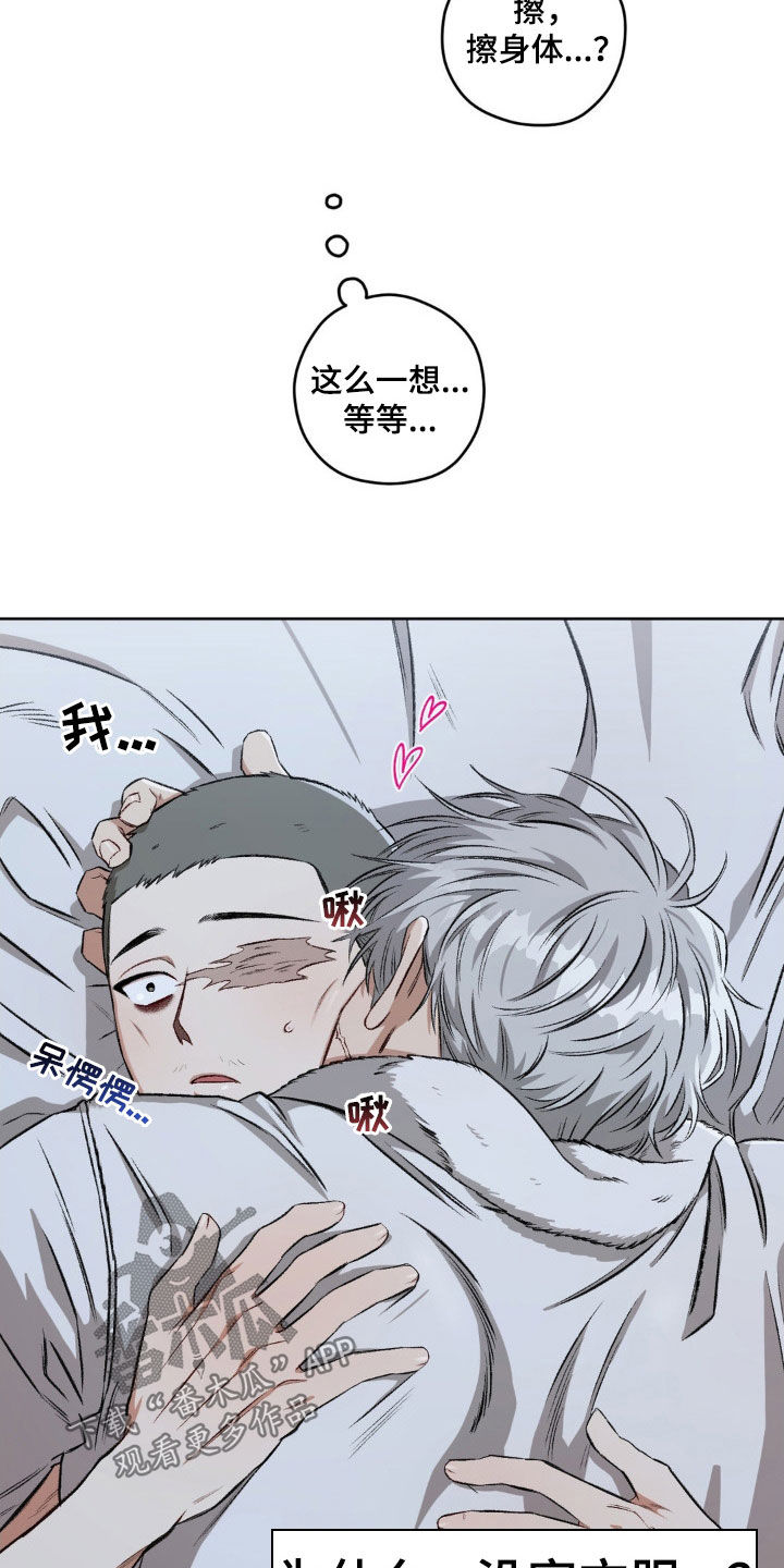区域间谍漫画,第104章：【第二季】更喜欢了1图