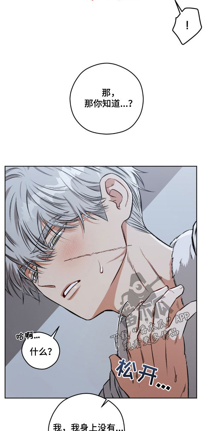 区域间谍漫画,第104章：【第二季】更喜欢了2图