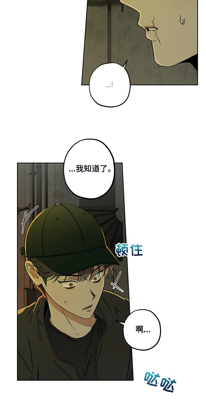 区域间谍漫画,第81章：【第二季】地下民2图