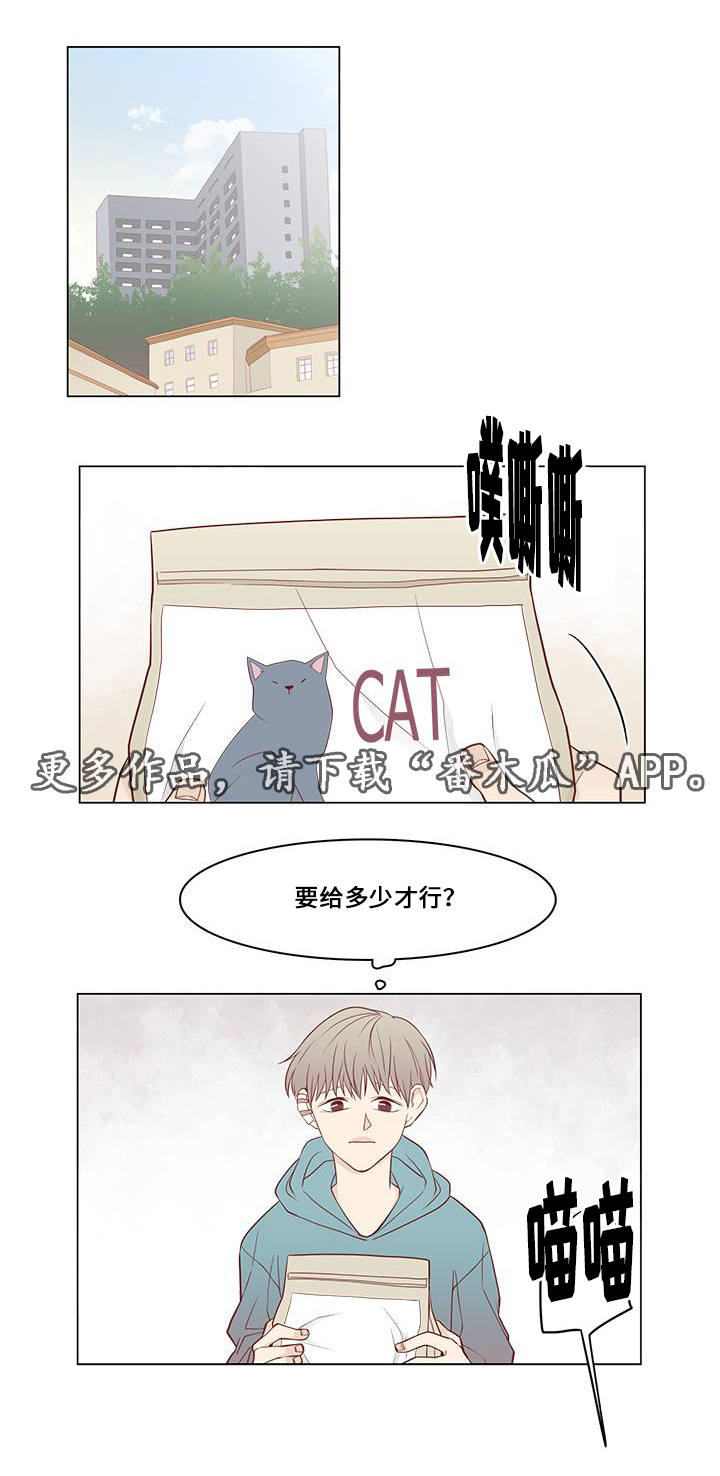 终局美剧解说漫画,第13章：偶遇2图