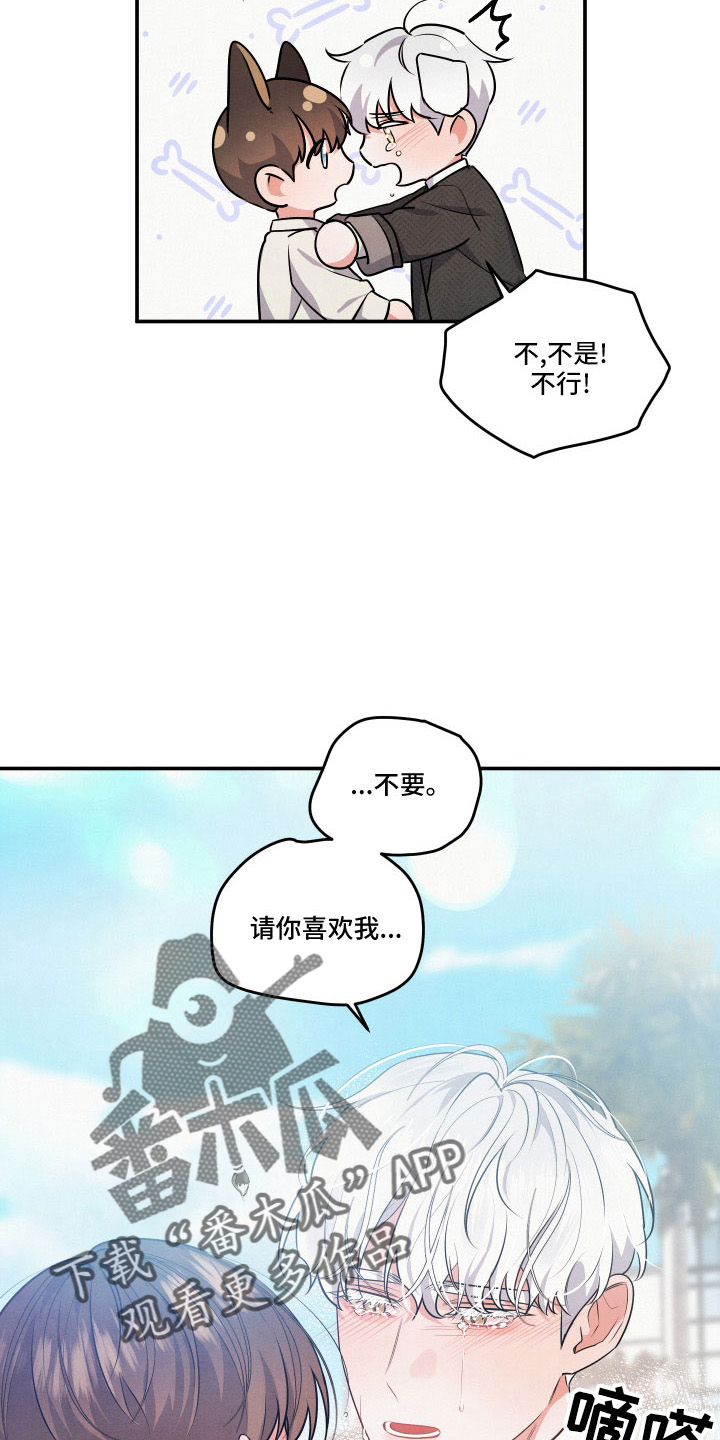 危险接近漫画,第54章：第一位1图