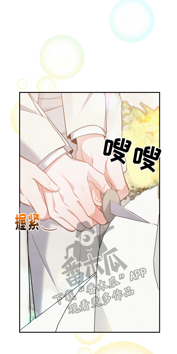危险接近漫画,第67章：【第一季完结】婚礼2图