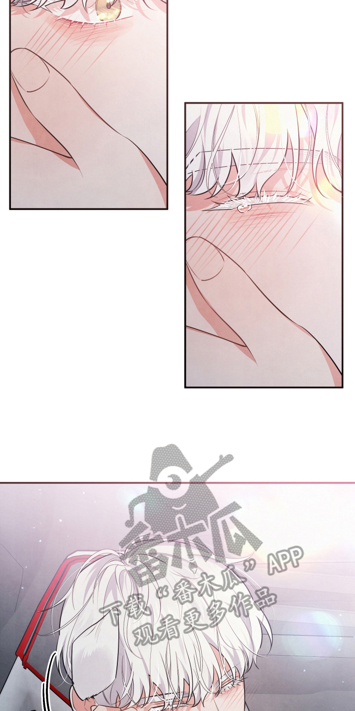 危险接近漫画,第62章：求婚2图
