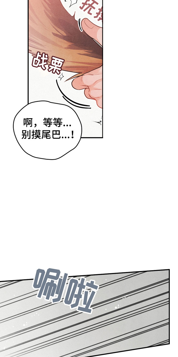 危险接近漫画,第1章：小型犬2图