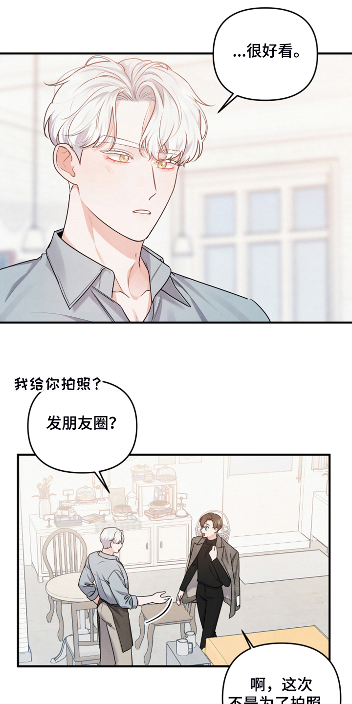 危险接近漫画免费看漫画,第17章：衬衫的价钱2图