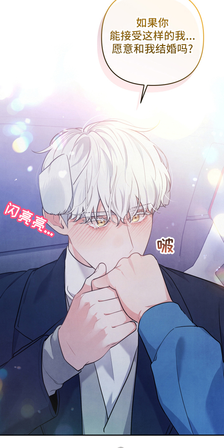 危险接近漫画,第62章：求婚2图