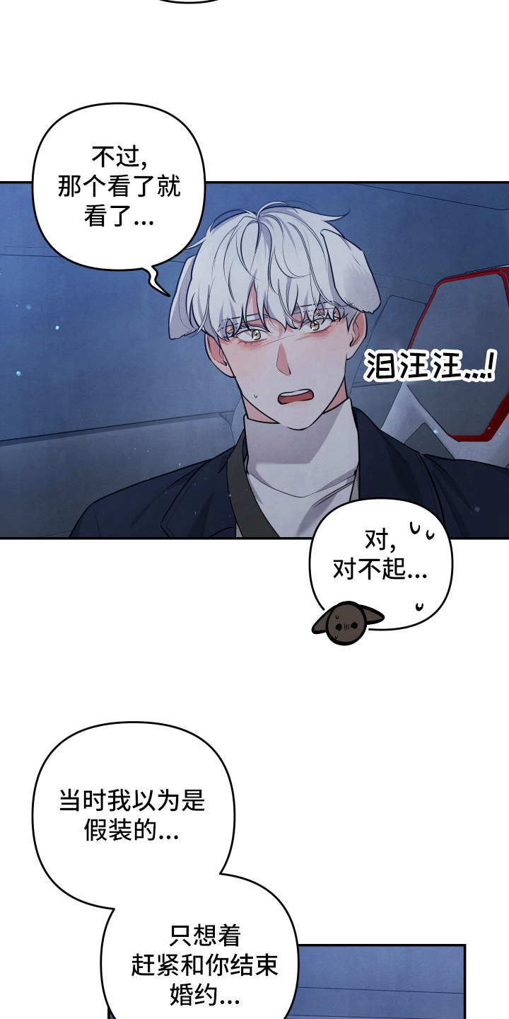 危险接近小说漫画,第62章：求婚2图