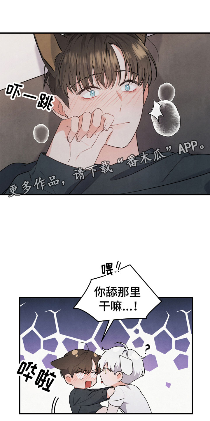 危险接近画涯在线阅读漫画,第11章：不一样1图