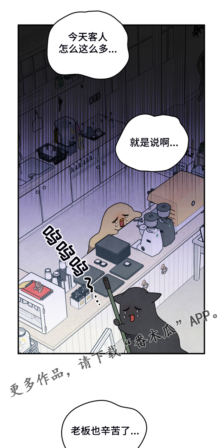 危险的姐姐漫画,第19章：并不熟1图