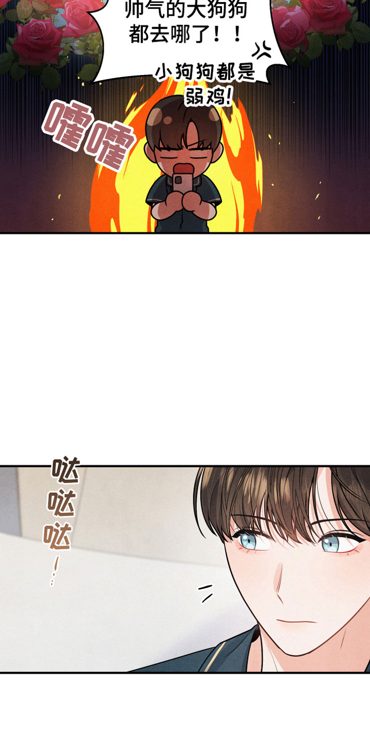 危险接近漫画,第1章：小型犬1图
