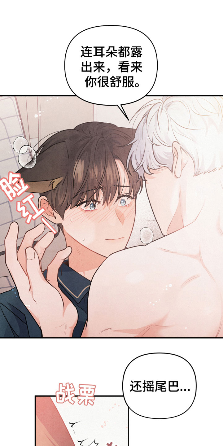 危险接近漫画,第1章：小型犬1图