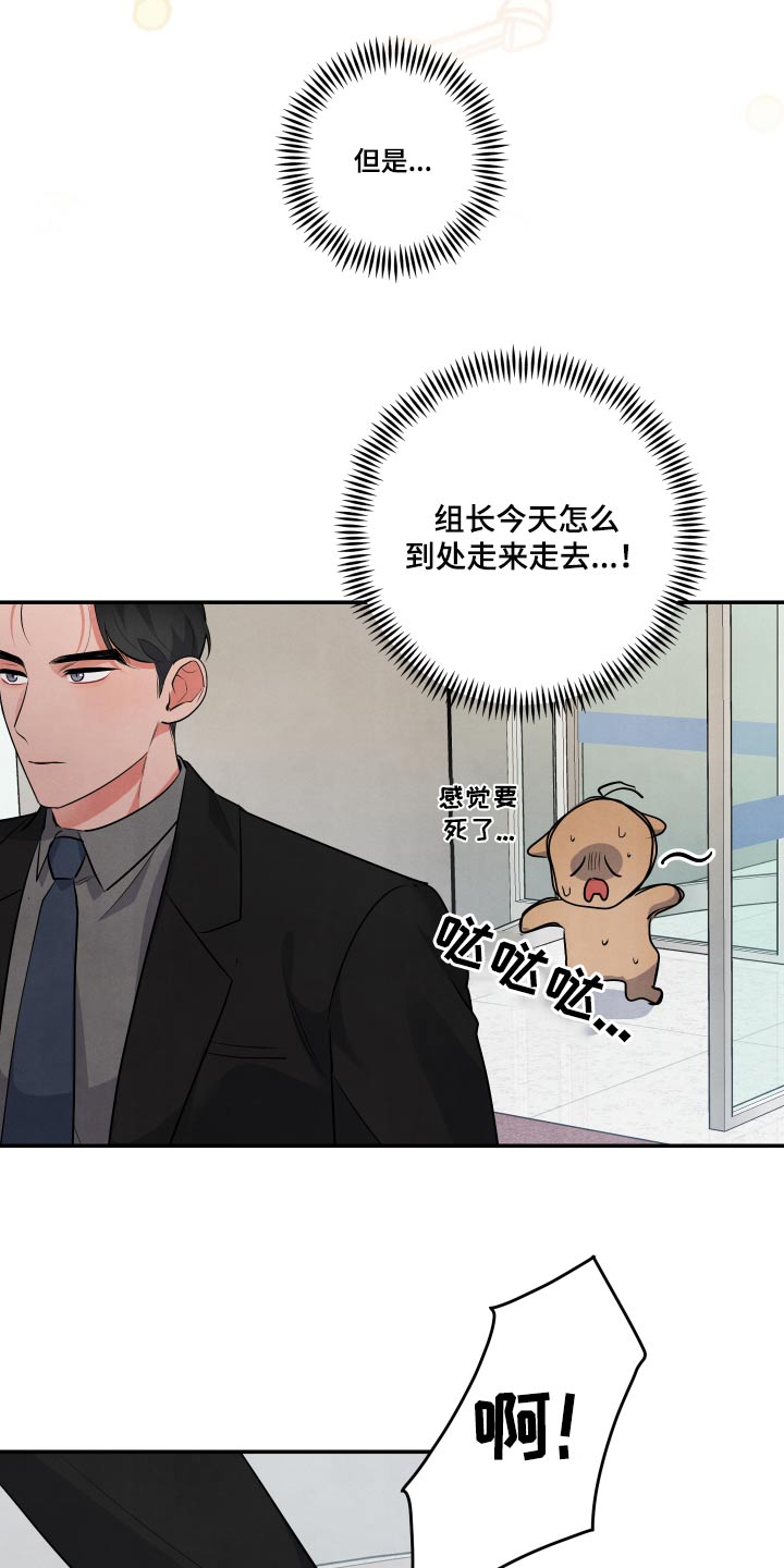 危险接近漫画,第75章：【第二季】好喜欢他2图