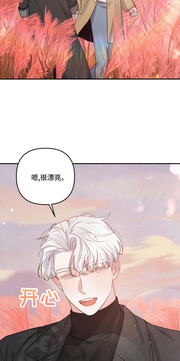 危险接近漫画,第48章：原来是喜欢1图