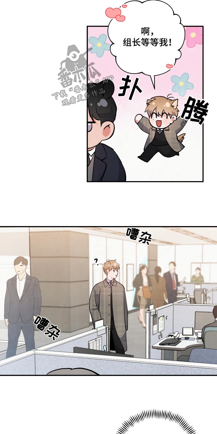 危险接近漫画,第84章：【第二季】兄长1图