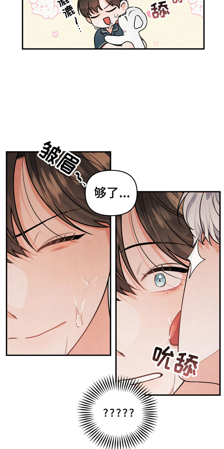 危险接近漫画,第1章：小型犬2图