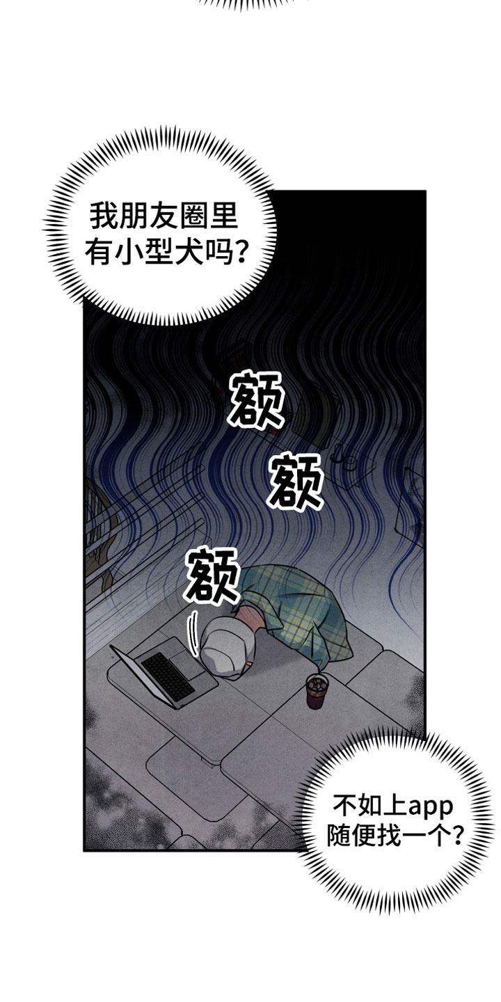 危险接近韩漫漫画,第4章：合适的对象2图