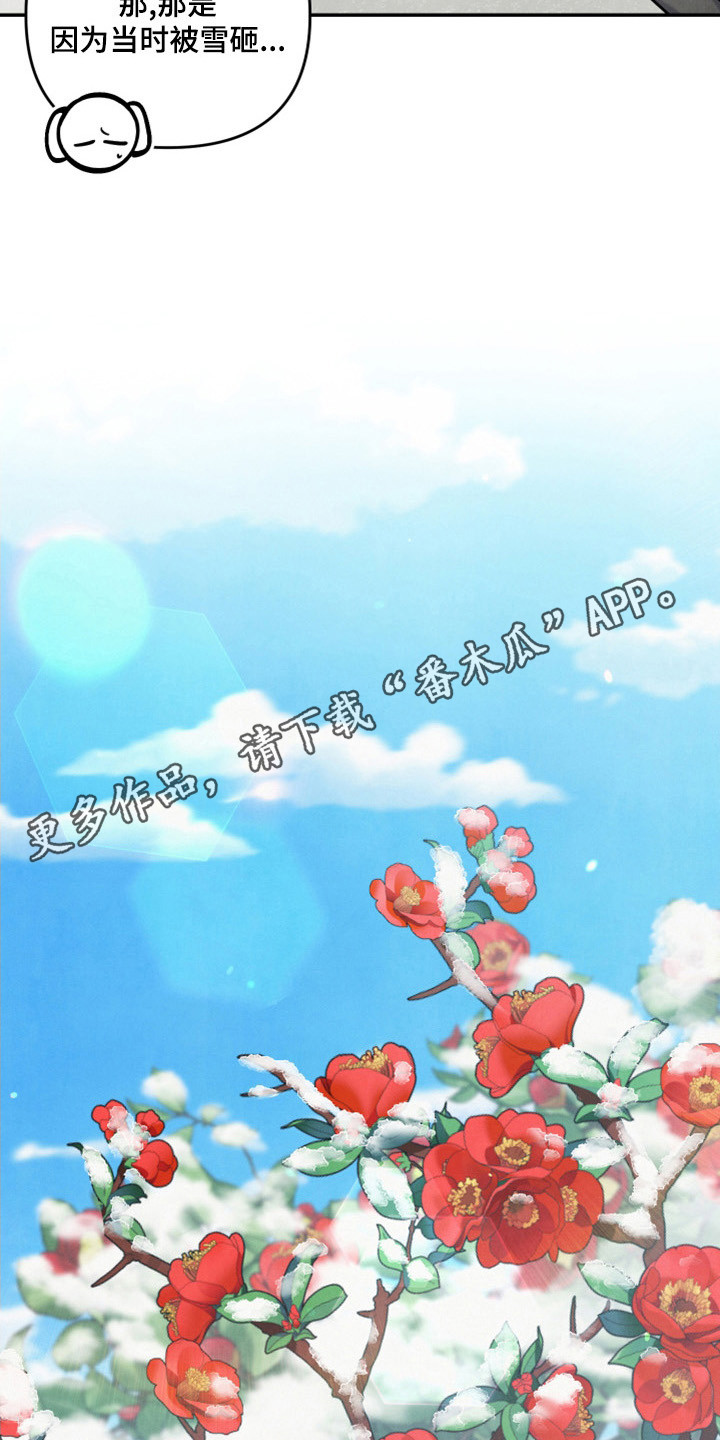 危险接近漫画,第64章：山茶花1图