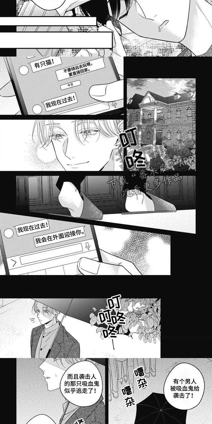 我的吸血鬼男友免费观看完整版漫画,第8章：再次相遇1图