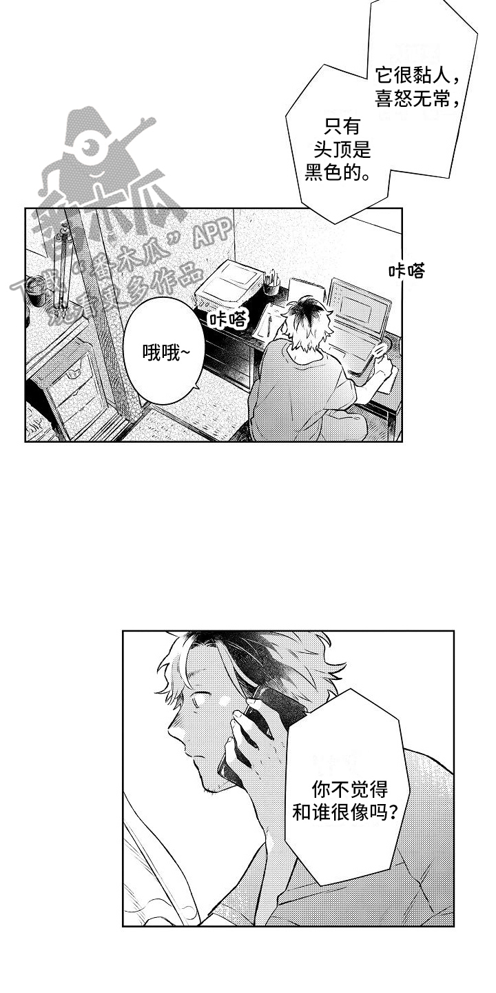 歌词春风吹向大海是什么歌漫画,第11章：成为恋人1图