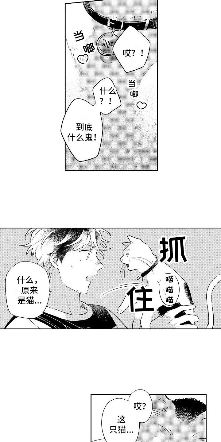 春风吹 什么歌漫画,第23章：思念1图