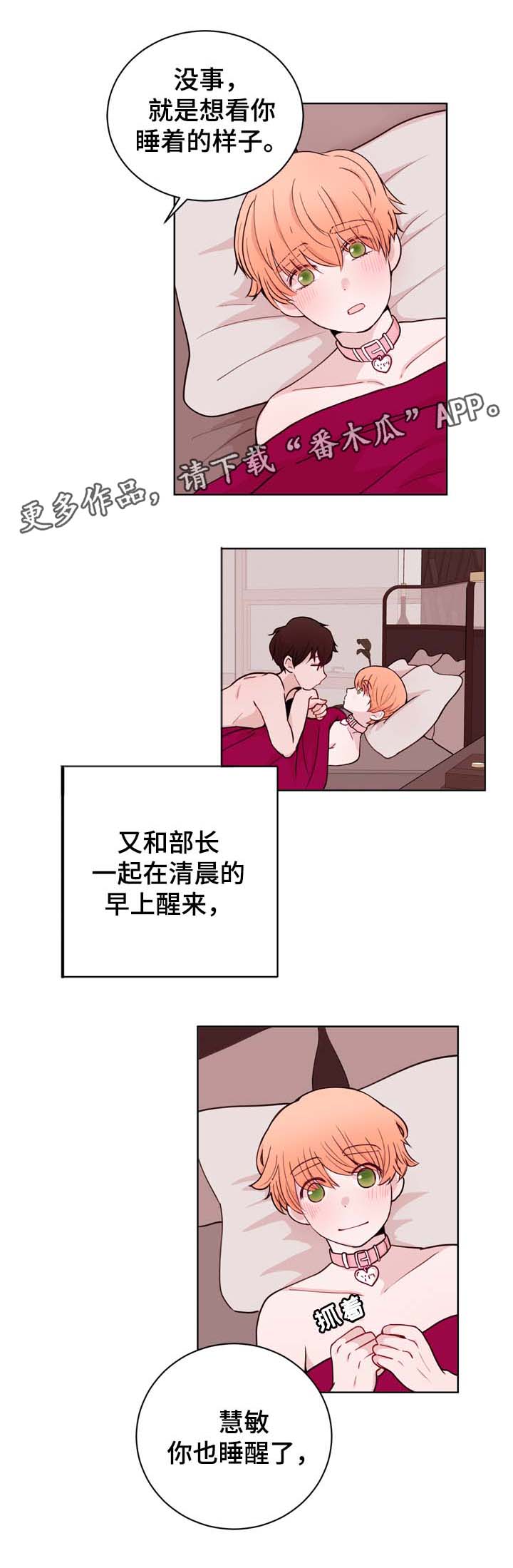 金钱袋图片漫画,第33章：想要交往1图