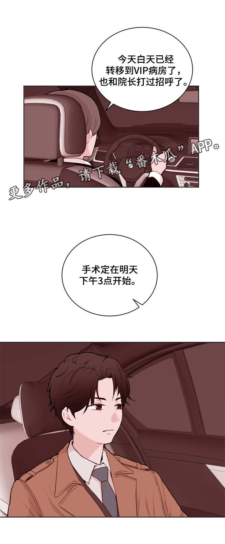 金钱树叶子发黄怎么办漫画,第30章：安排1图