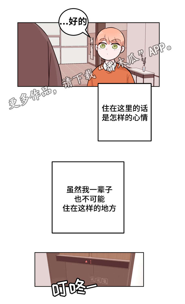 金钱豹漫画,第6章：回报1图