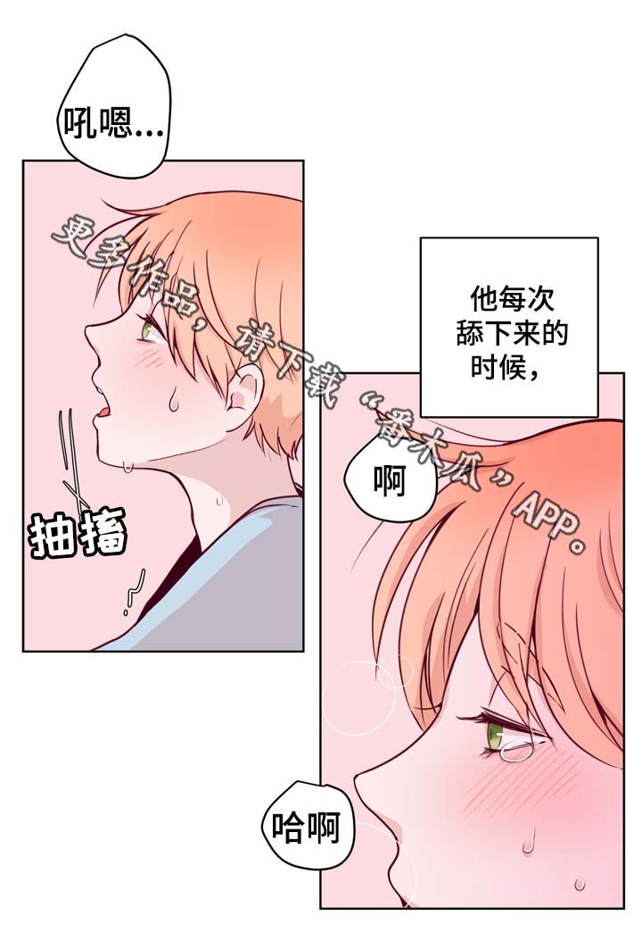 金钱草功效作用漫画,第40章：特别的礼物2图