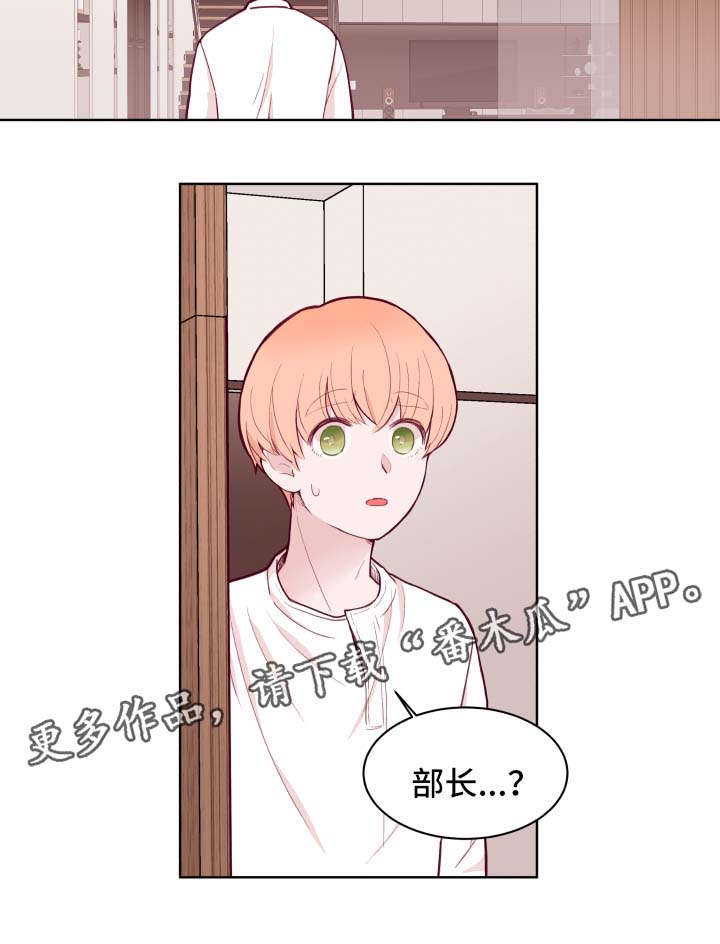 金钱豹漫画,第70章：答应2图