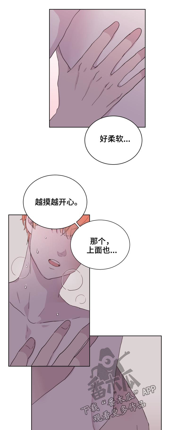 金钱龟多少钱一只漫画,第81章：【第二季】香蕉1图