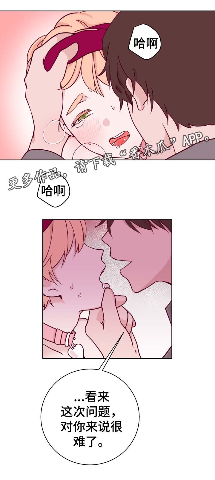 金钱龟多少钱一只漫画,第49章：最喜欢2图