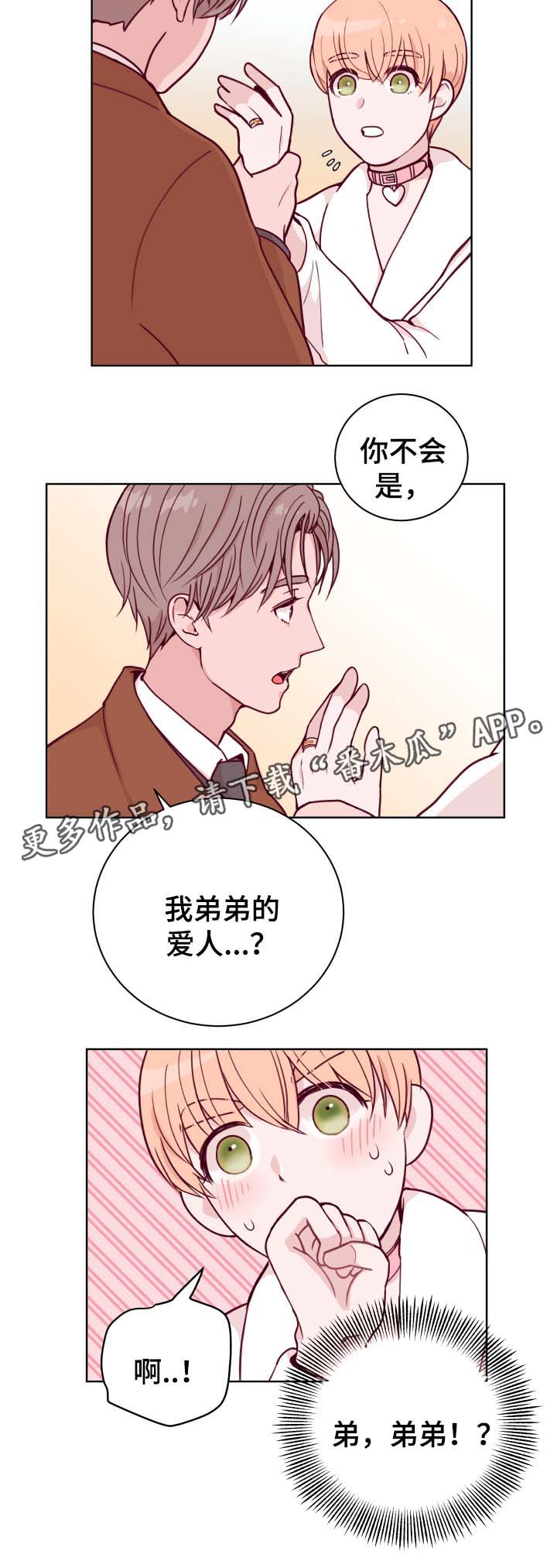 金钱与虚荣的代价漫画,第45章：弟弟的爱人1图