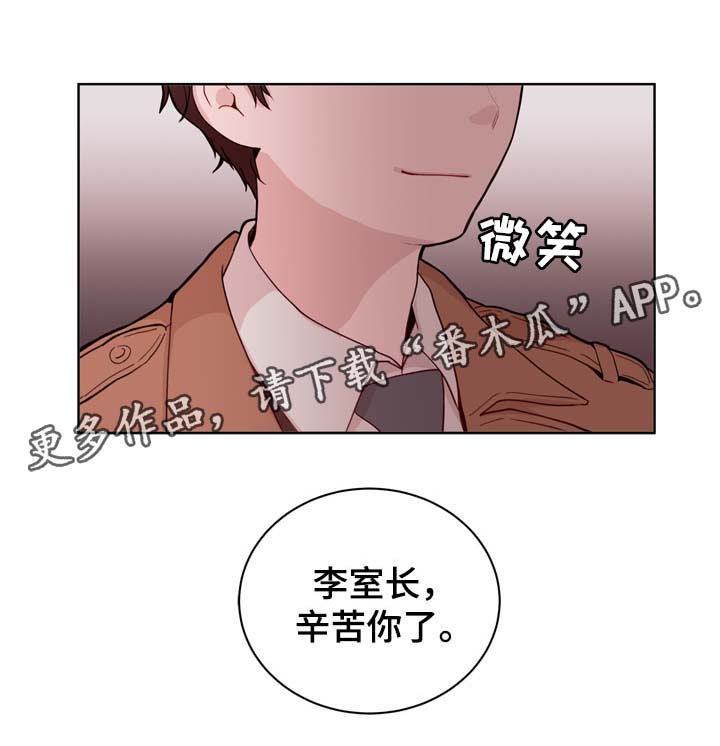 金钱树叶子发黄怎么办漫画,第30章：安排2图