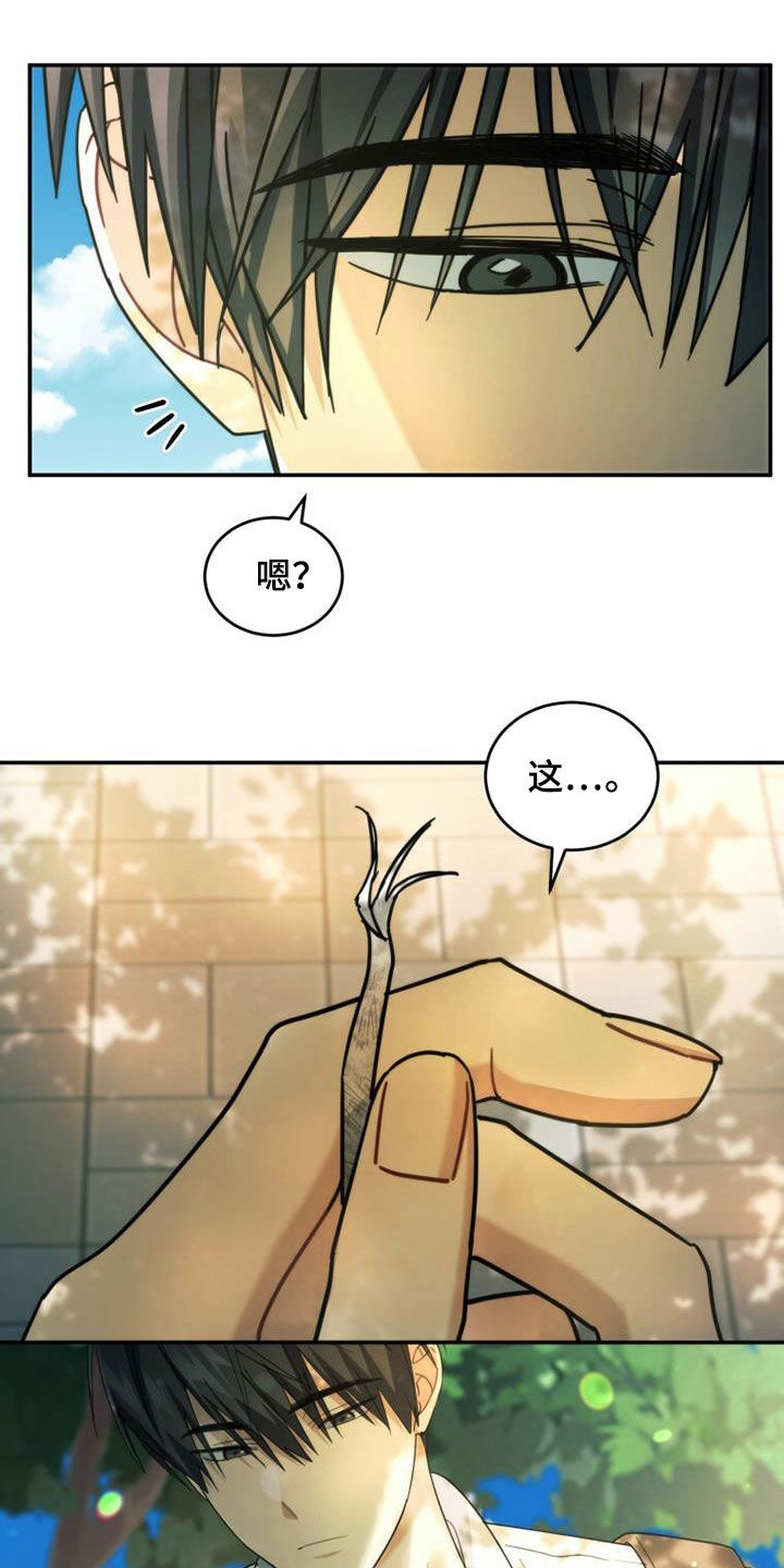 追逐繁星日落漫画,第48章：传开了1图