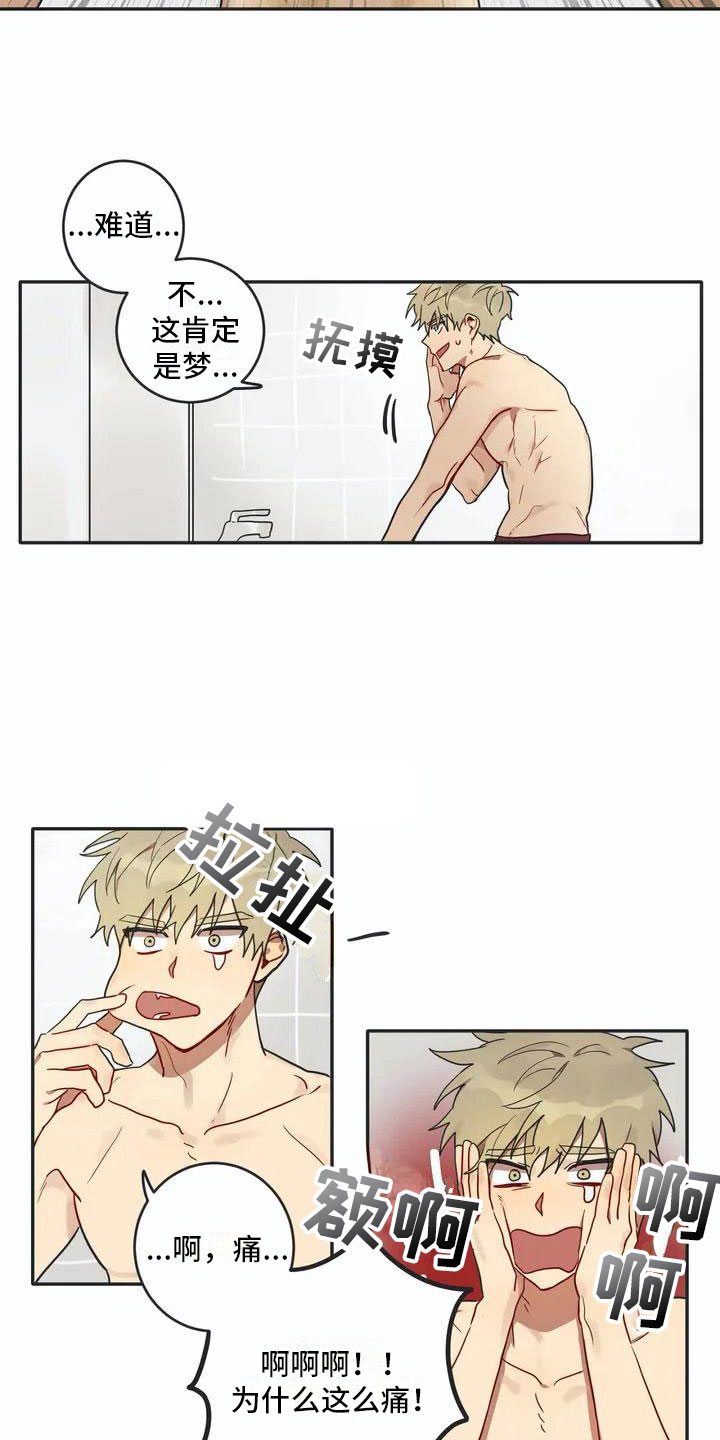 诅咒互换后续漫画,第3章：回归2图