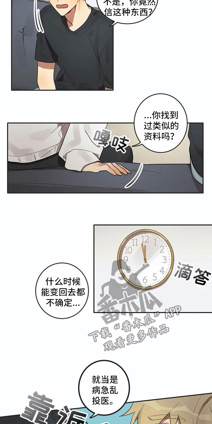 互换魔咒在哪漫画,第6章：爱2图