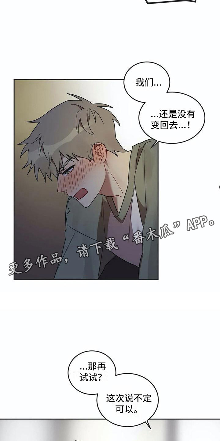 互换魔咒在哪漫画,第17章：诅咒解除1图