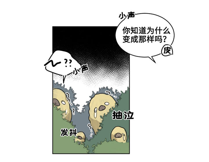 魔法师皮塔漫画,第21章：陌生的毒花1图