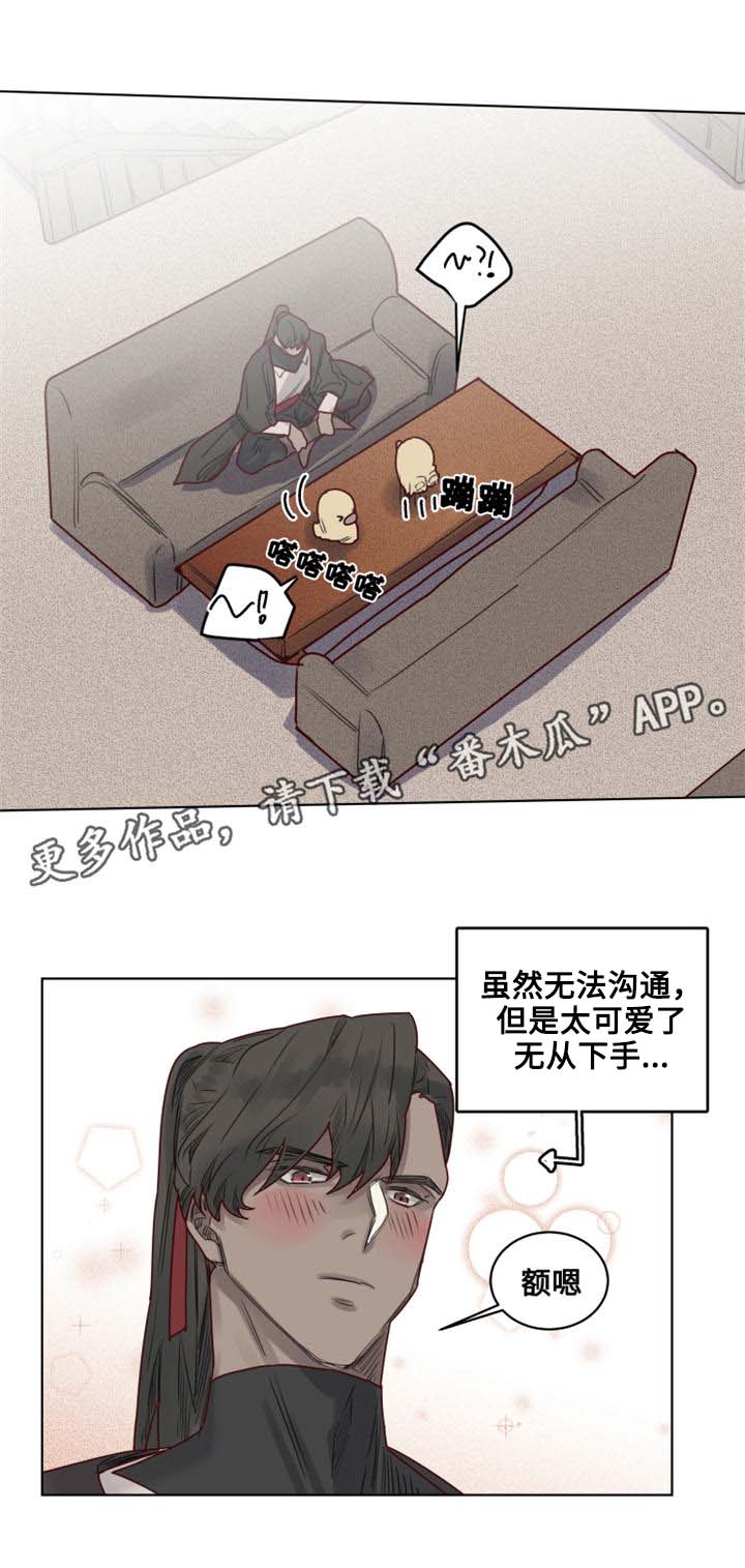 魔法师皮塔漫画,第24章：危机四伏2图