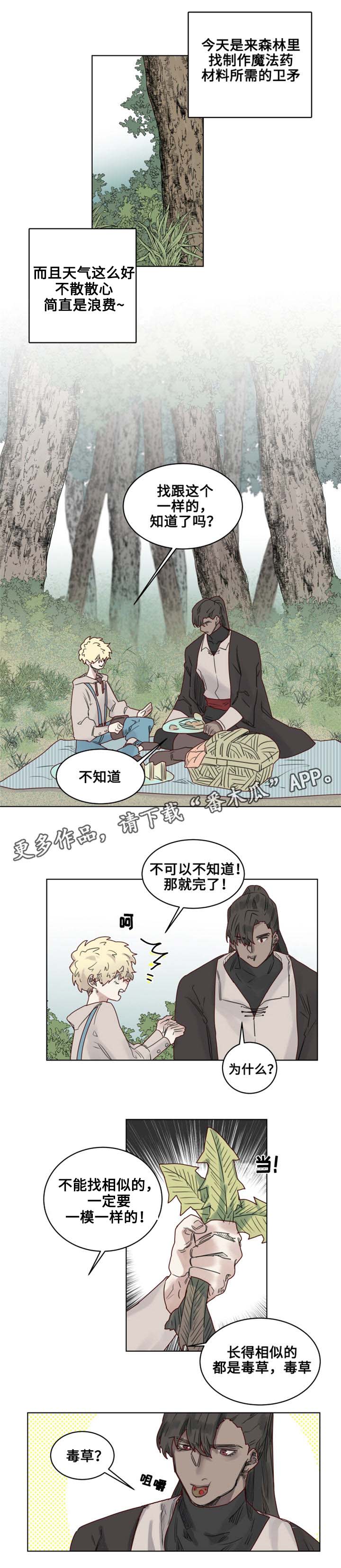 魔法师皮塔漫画,第20章：观察者1图