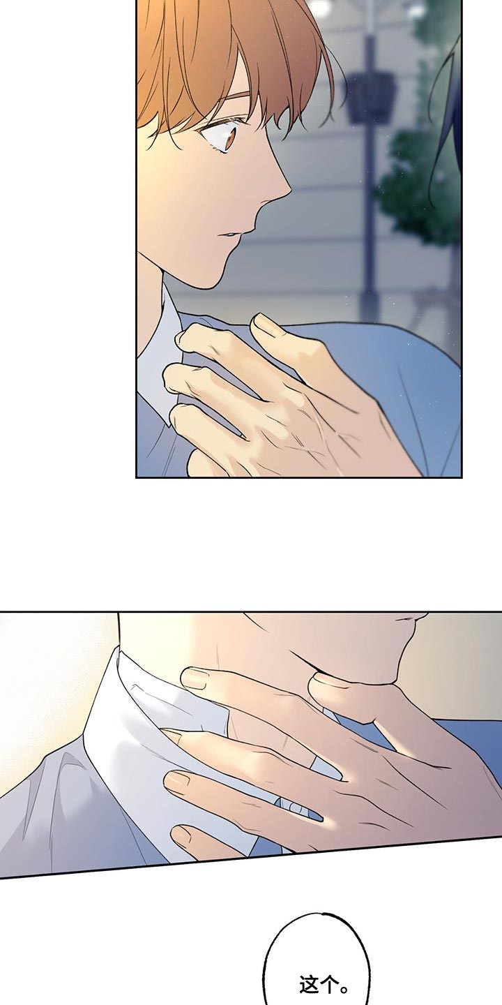 给我全部的爱小说免费阅读漫画,第43章：是我弄的2图