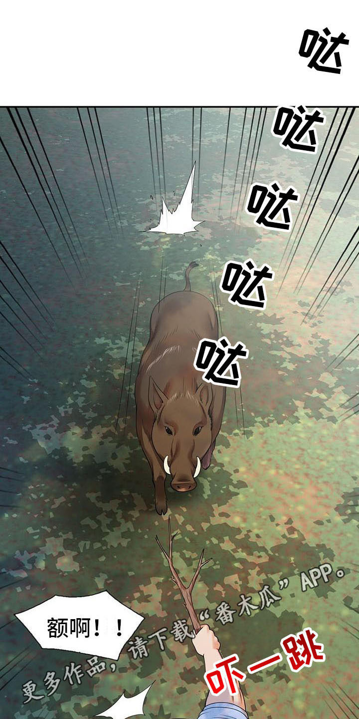 职业球员用什么皮头漫画,第8章：野猪2图