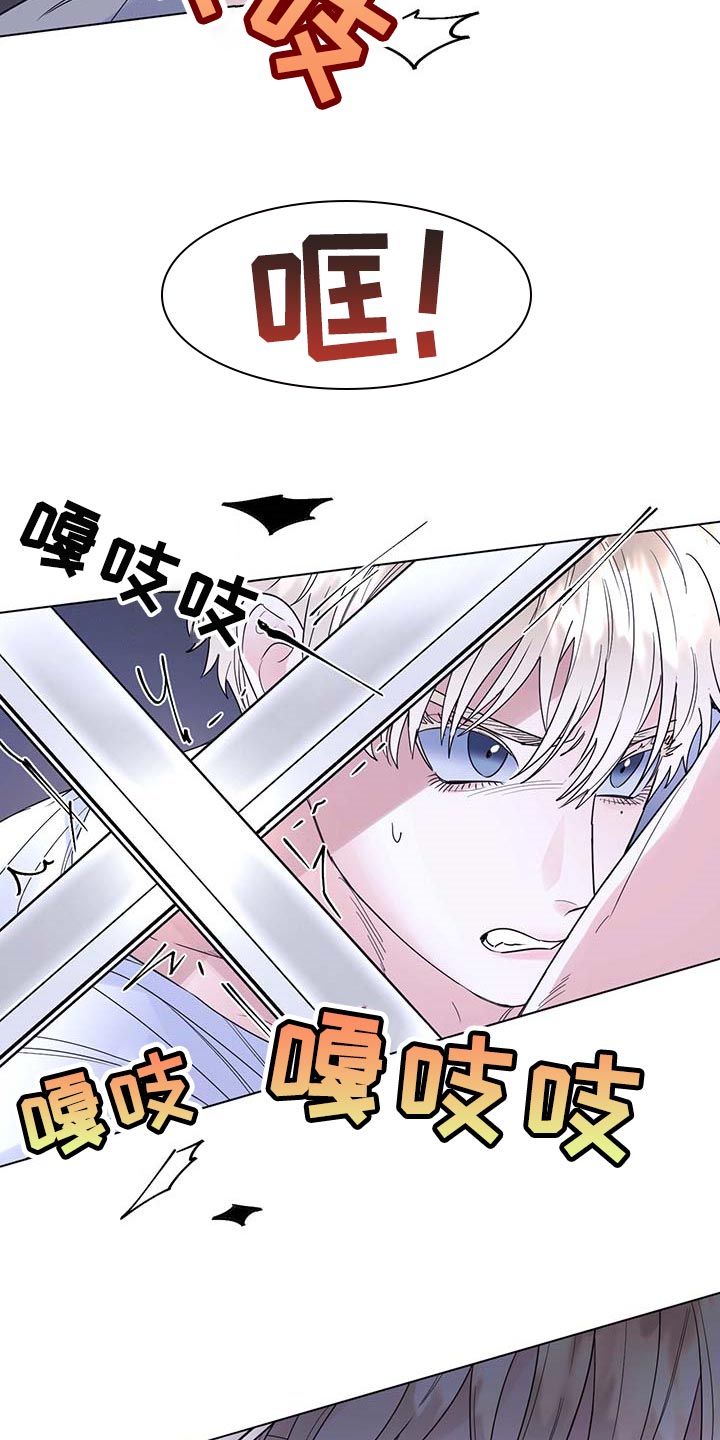 认主人的小型宠物漫画,第80章：【第二季】比试2图