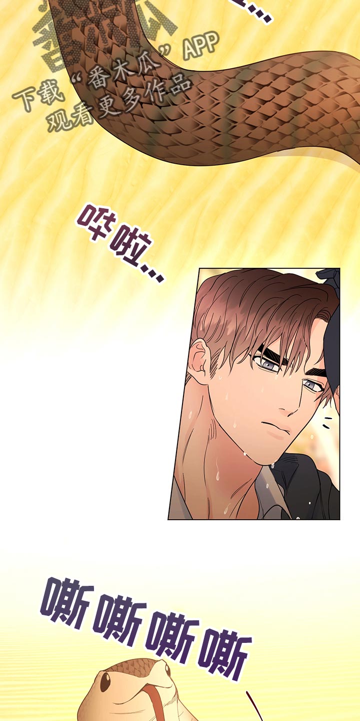 我是主人的宠物漫画,第111章：【番外】毒蛇1图