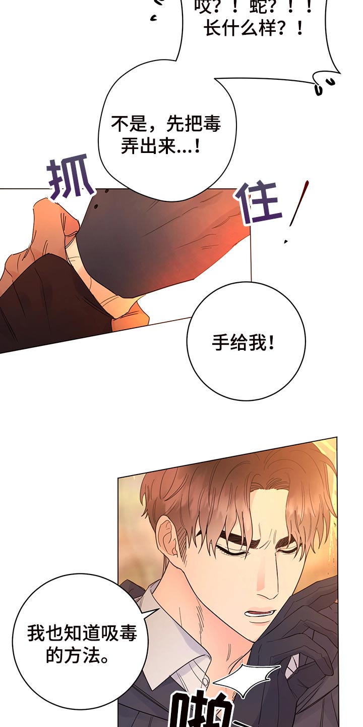 我是主人的宠物漫画,第111章：【番外】毒蛇2图