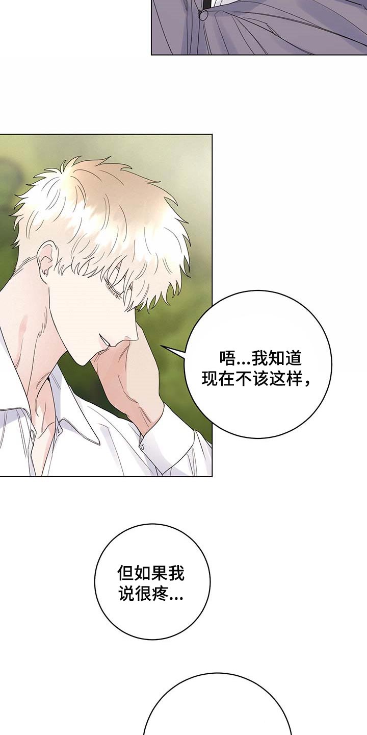 主人的宠物漫画另一个名字漫画,第98章：【第二季】你是自由的1图